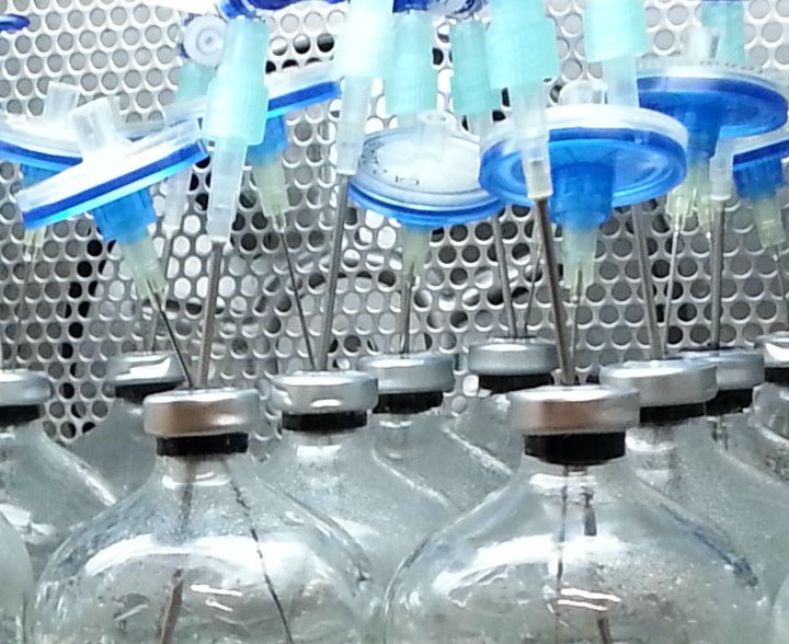 Microcosm bottles in an incubator