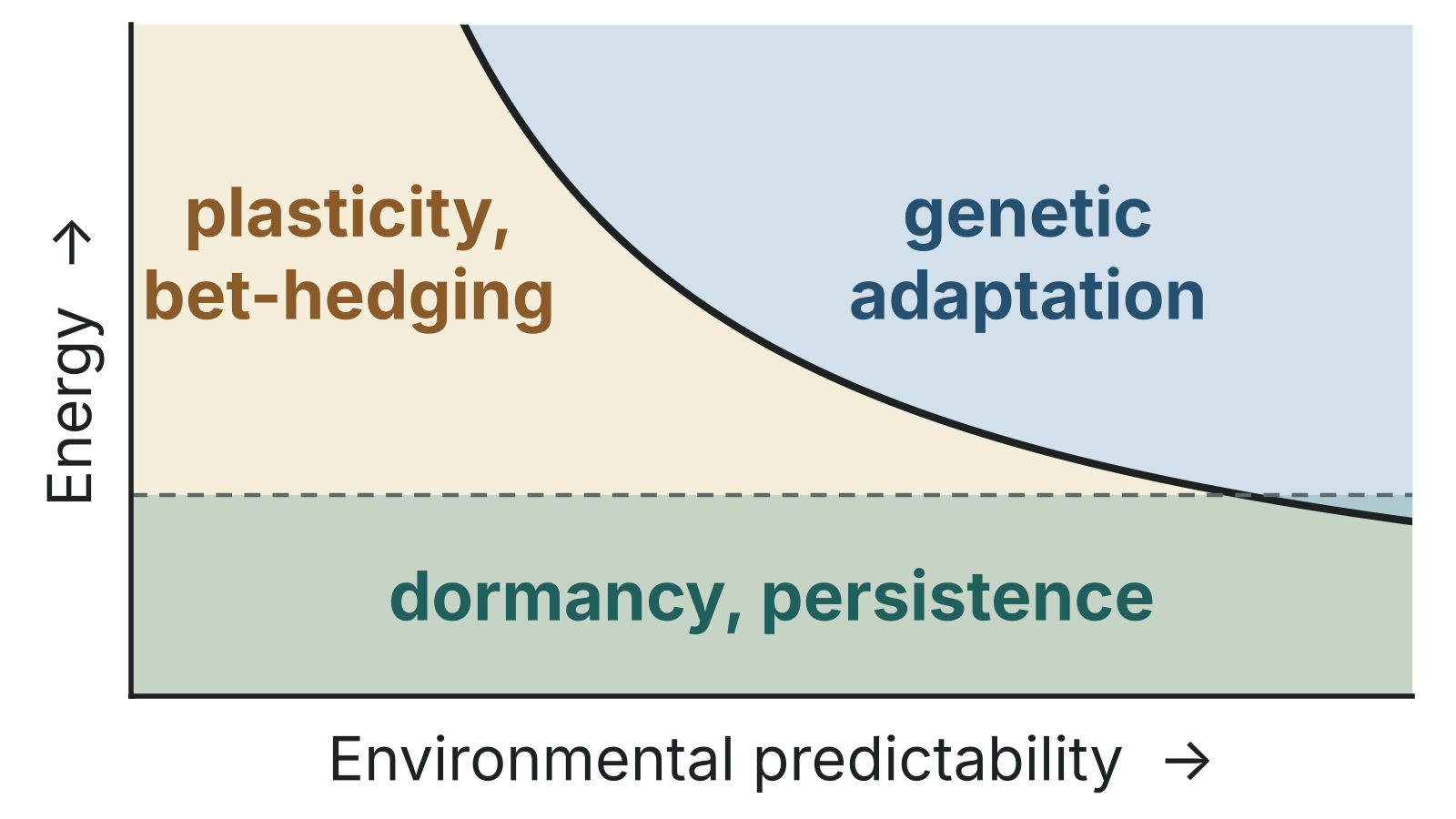 Regime plot: with little energy, dormancy and persistence; with more energy, plasticity and bet-hedging when the environment is unpredictable and genetic adaptation when it is predictable